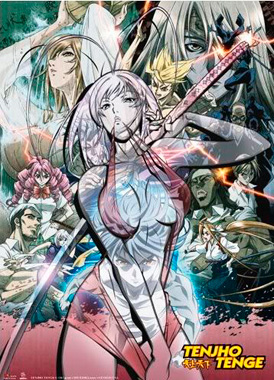 Небо и земля: Бои без правил / Tenjou Tenge: The Ultimate Fight